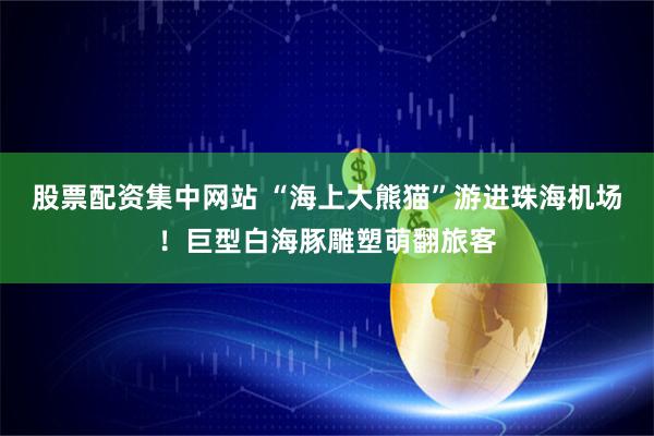 股票配资集中网站 “海上大熊猫”游进珠海机场！巨型白海豚雕塑萌翻旅客