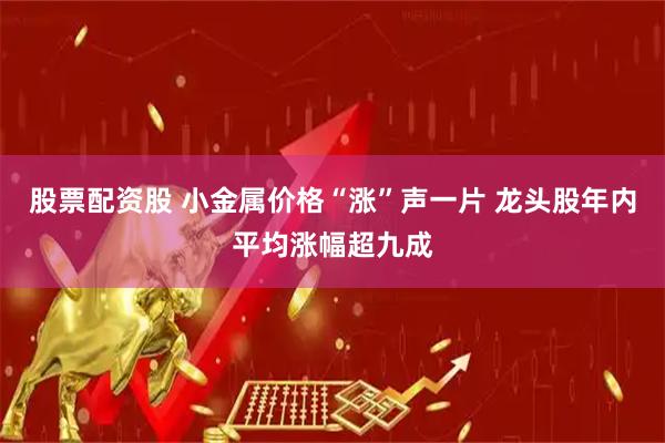 股票配资股 小金属价格“涨”声一片 龙头股年内平均涨幅超九成