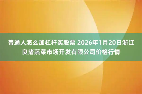 普通人怎么加杠杆买股票 2026年1月20日浙江良渚蔬菜市场开发有限公司价格行情