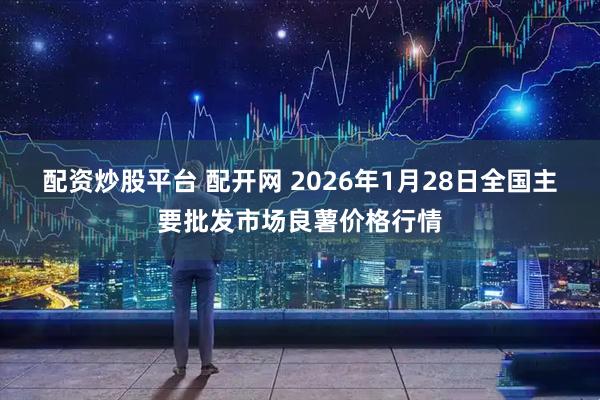 配资炒股平台 配开网 2026年1月28日全国主要批发市场良薯价格行情