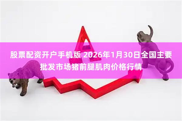 股票配资开户手机版 2026年1月30日全国主要批发市场猪前腿肌肉价格行情