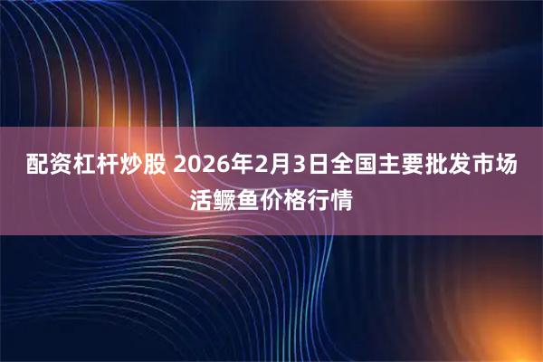 配资杠杆炒股 2026年2月3日全国主要批发市场活鳜鱼价格行情